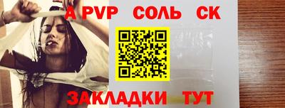 индика Кимры