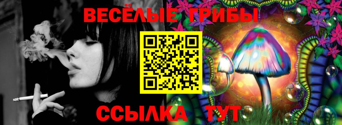 Псилоцибиновые грибы мухоморы  Вход с VPN  Котовск  Галлюциногенные грибы Psilocybine cubensis 